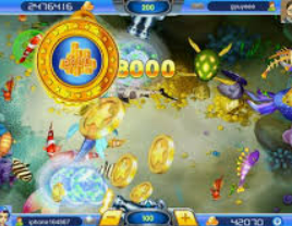 ayx手机版登录入口2024最新版