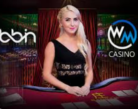 ayx手机版登录入口2024最新版