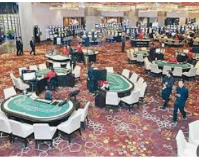 ayx手机版登录入口2024最新版