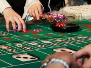 ayx手机版登录入口2024最新版